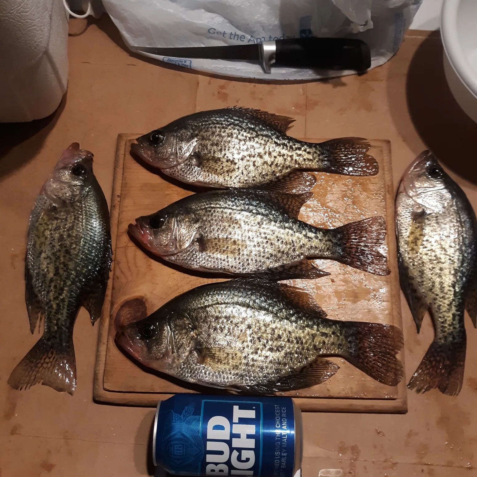 recently logged catches