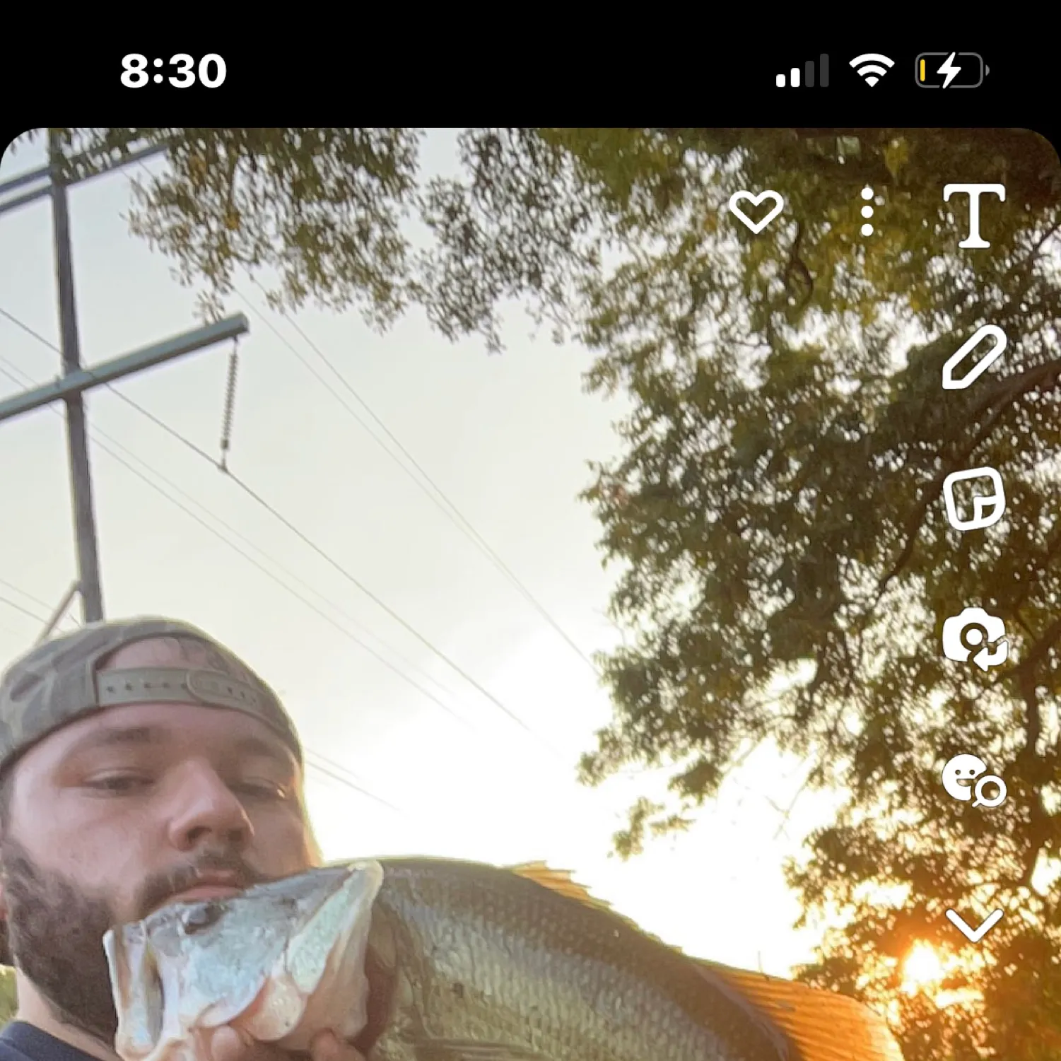 recently logged catches