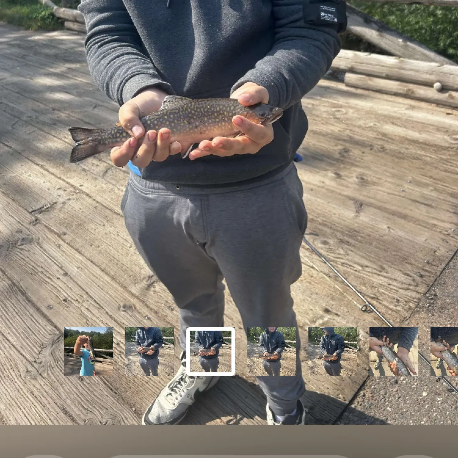 recently logged catches