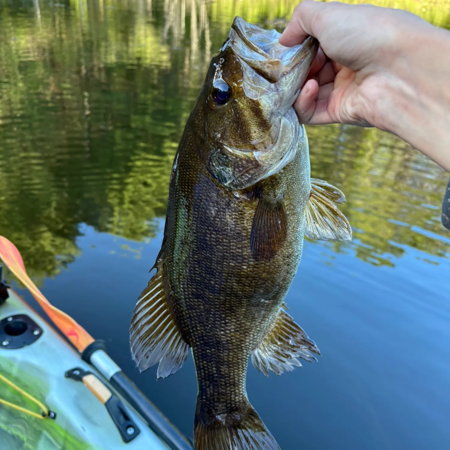 ᐅ Bond Falls Flowage fishing reports🎣• MI, United States fishing