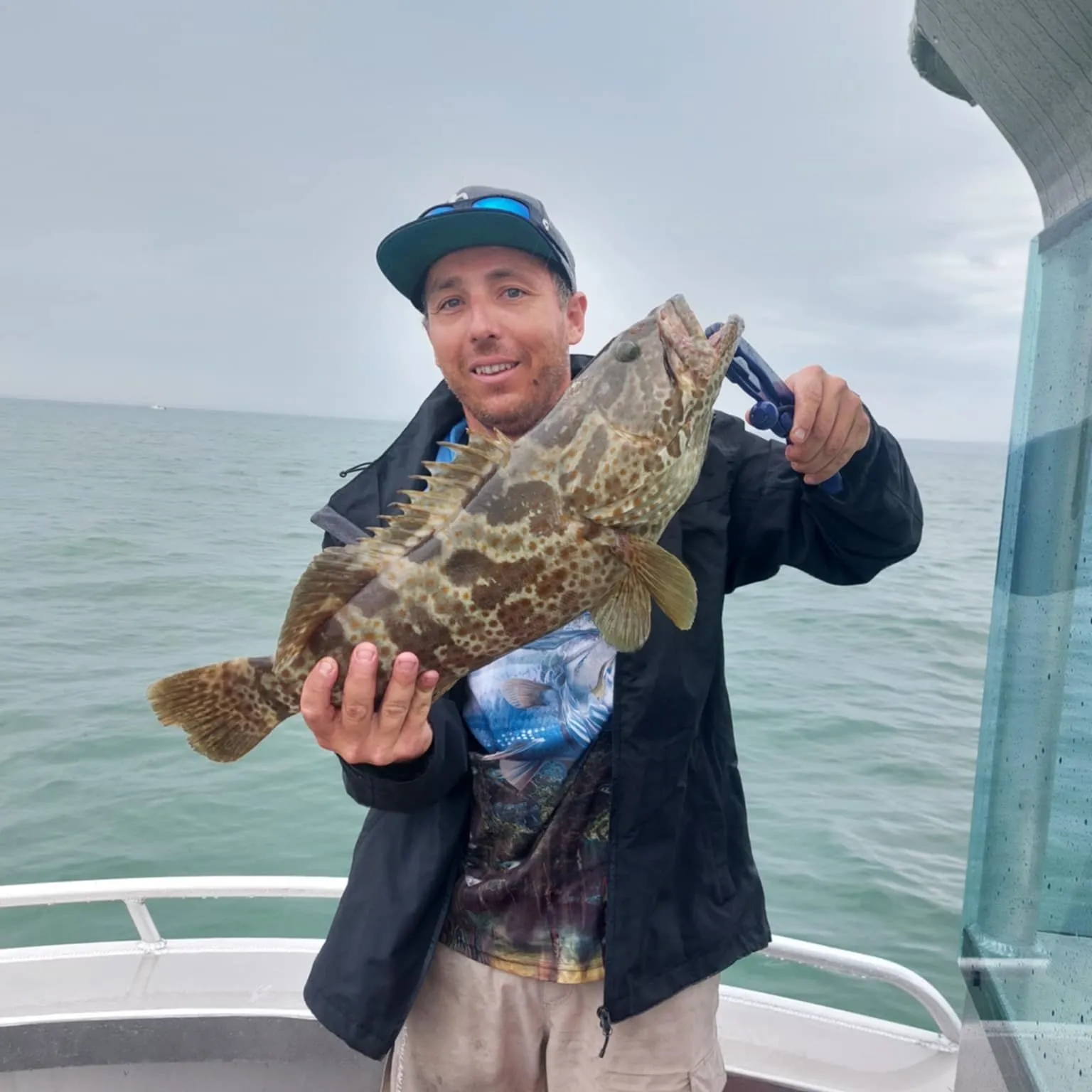 The most popular recent Greasy grouper catch on Fishbrain