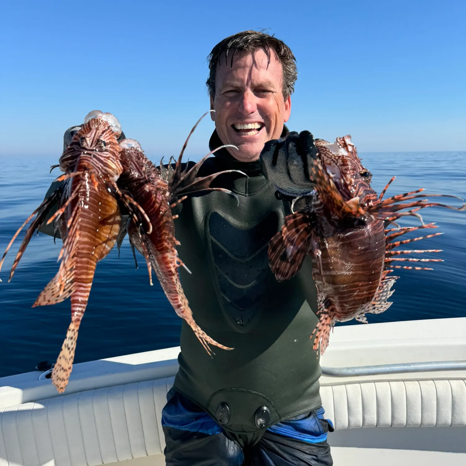 The most popular recent Red lionfish catch on Fishbrain