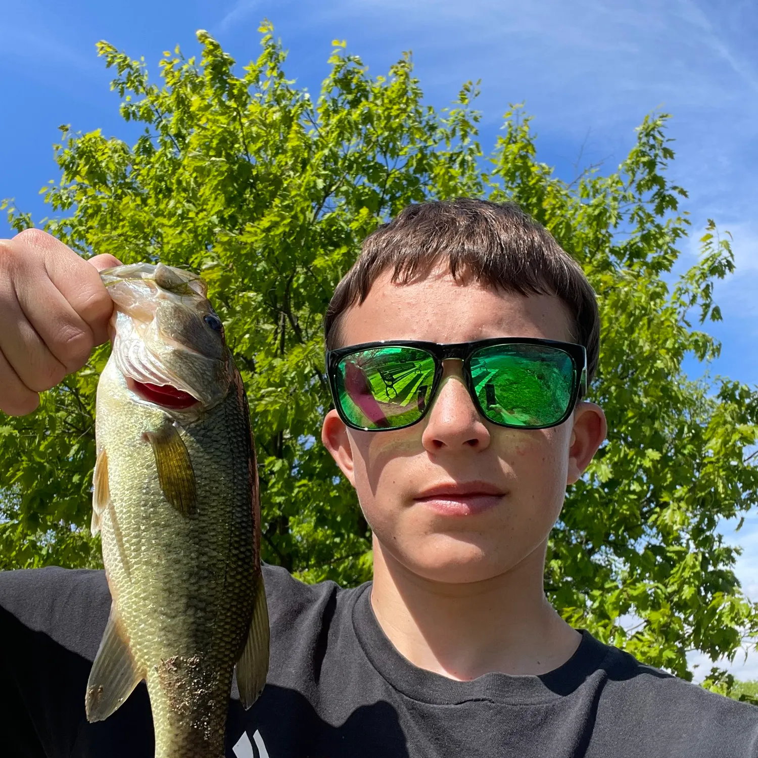 ᐅ Barbour Pond fishing reports🎣• Woodland Park, NJ (United States) fishing