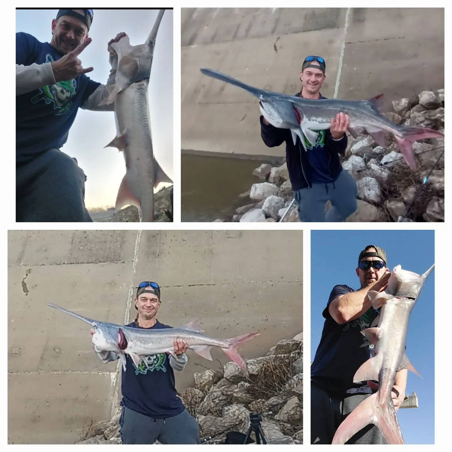 recently logged catches