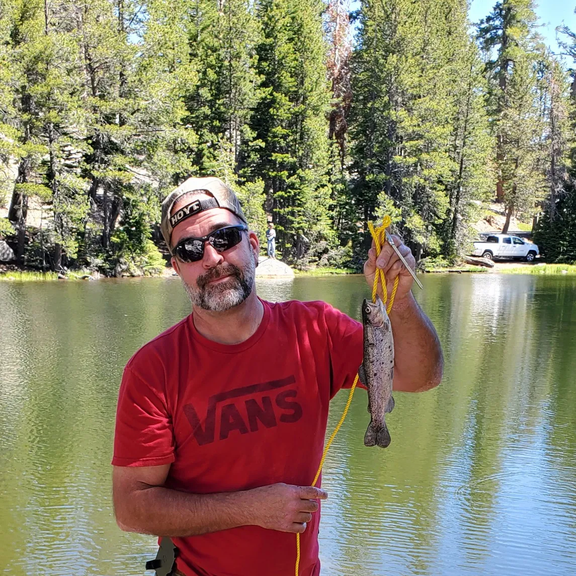 ᐅ Mosquito Lake fishing reports🎣• Gardnerville Ranchos, CA (United