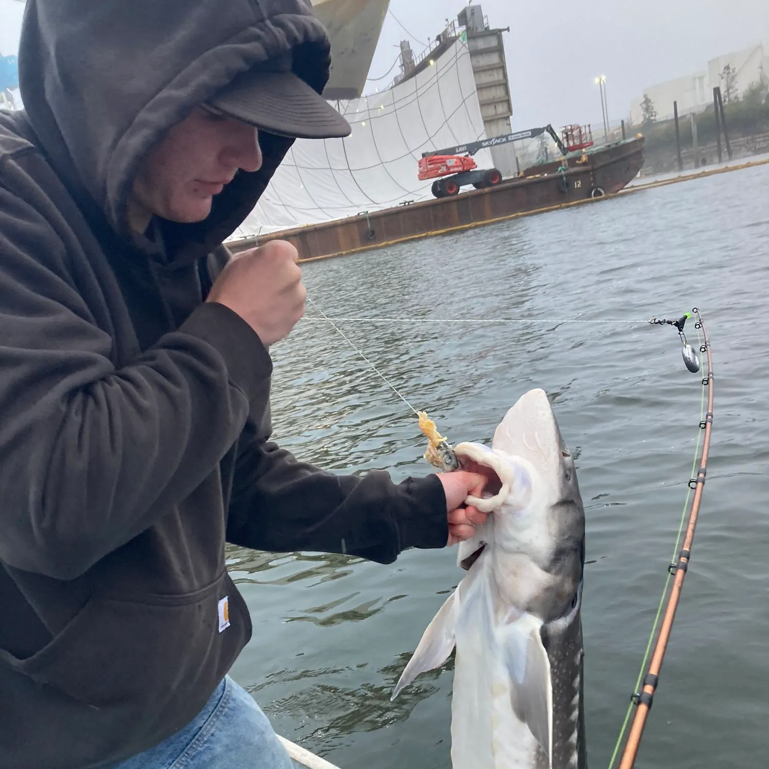 The most popular recent Slippery dick wrasse catch on Fishbrain