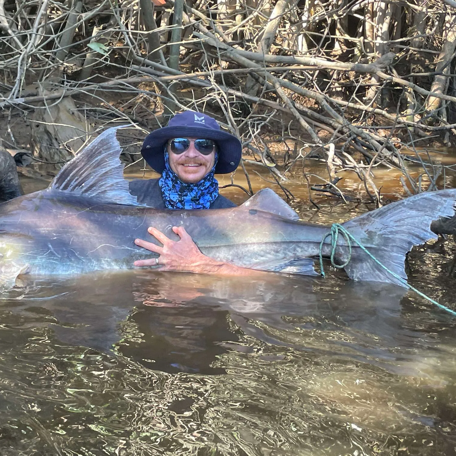 The most popular recent Piraíba catch on Fishbrain