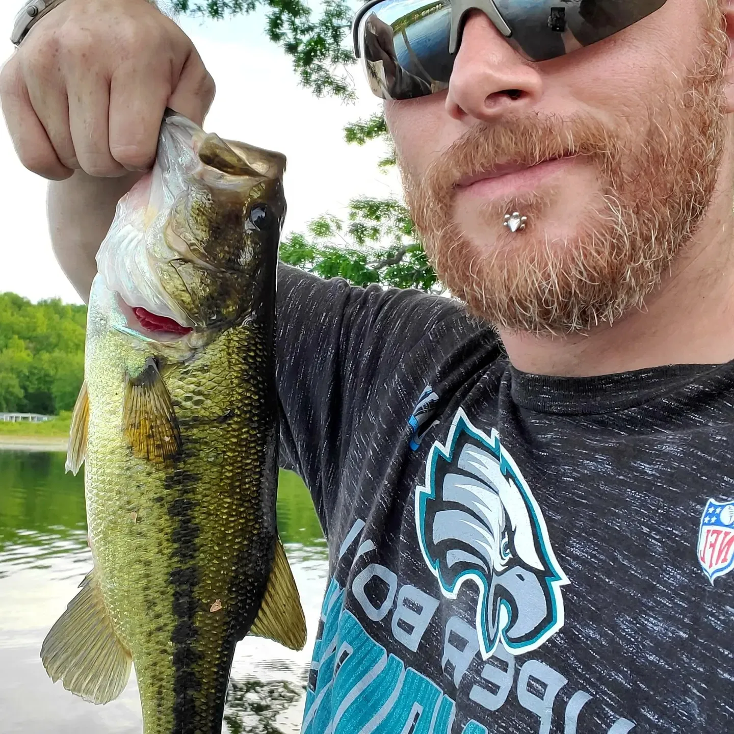 ᐅ Lake Silkworth fishing reports🎣• Kingston, PA (United States) fishing