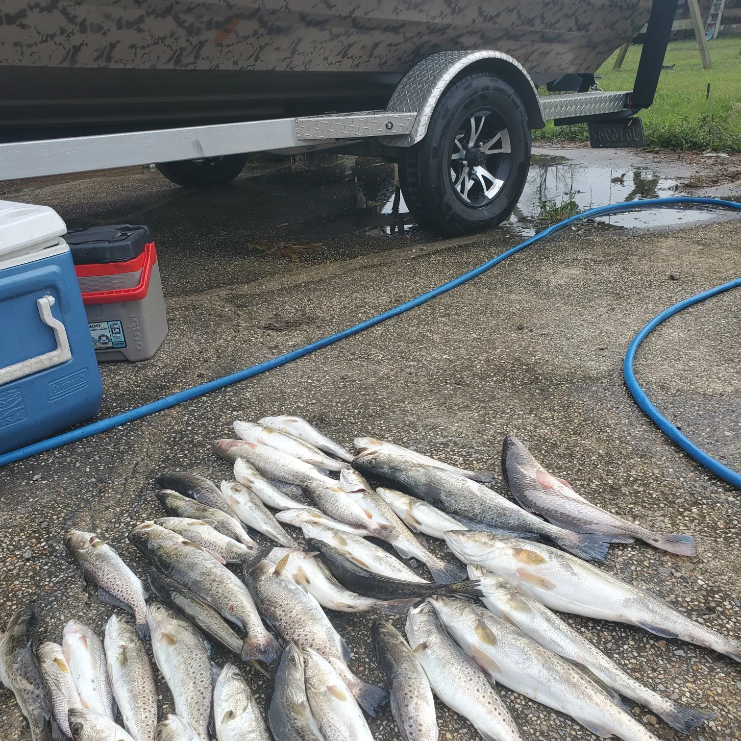 recently logged catches