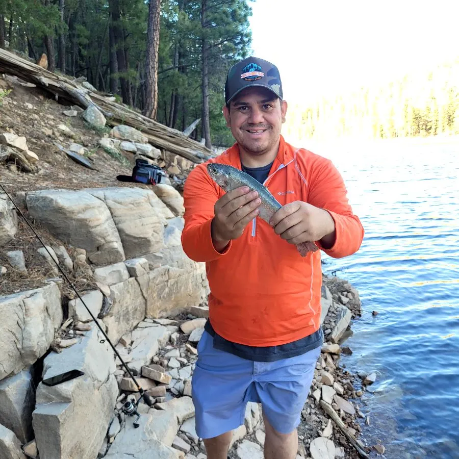 ᐅ Knoll Lake fishing reports🎣• Payson, AZ (United States) fishing