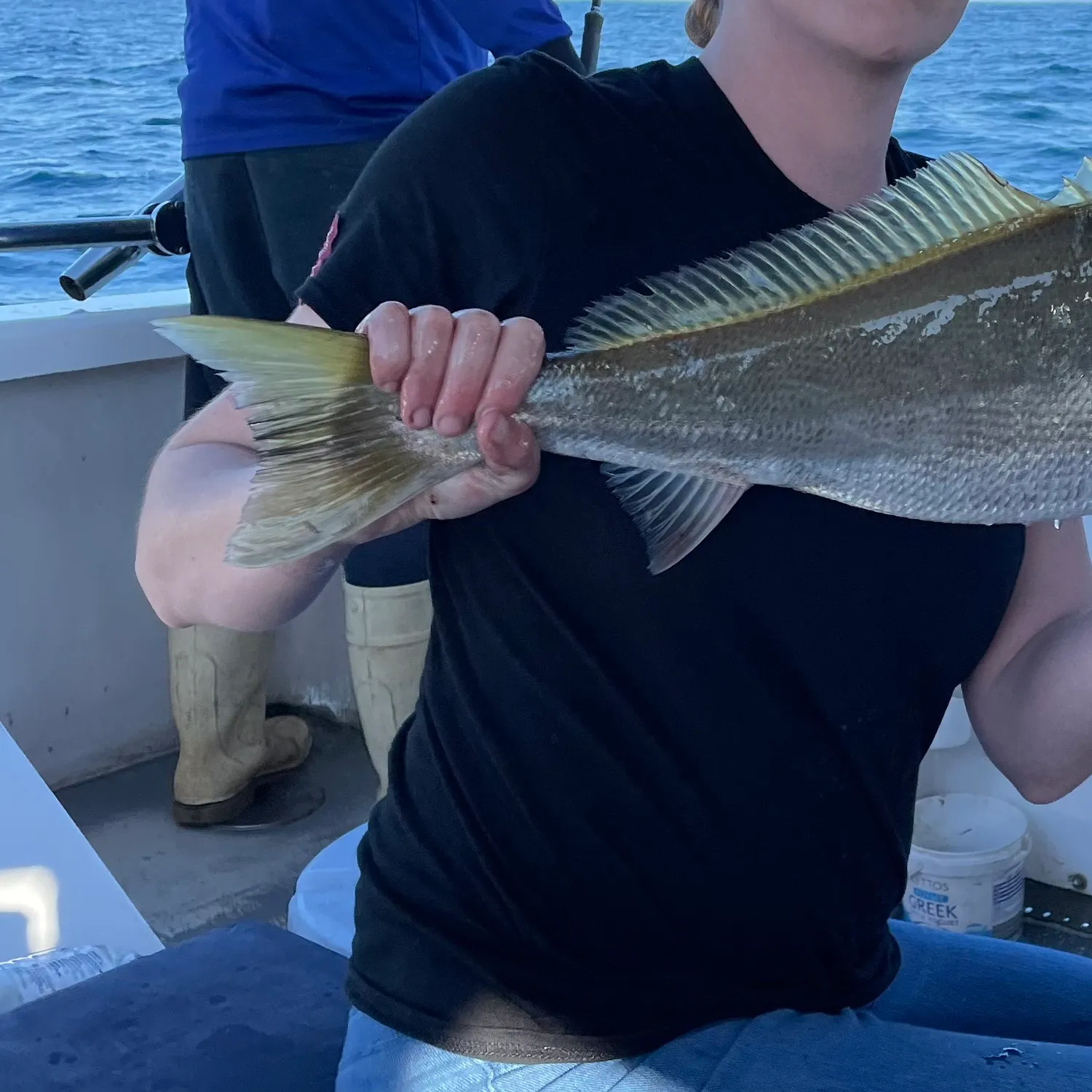 The most popular recent Geelbeck croaker catch on Fishbrain