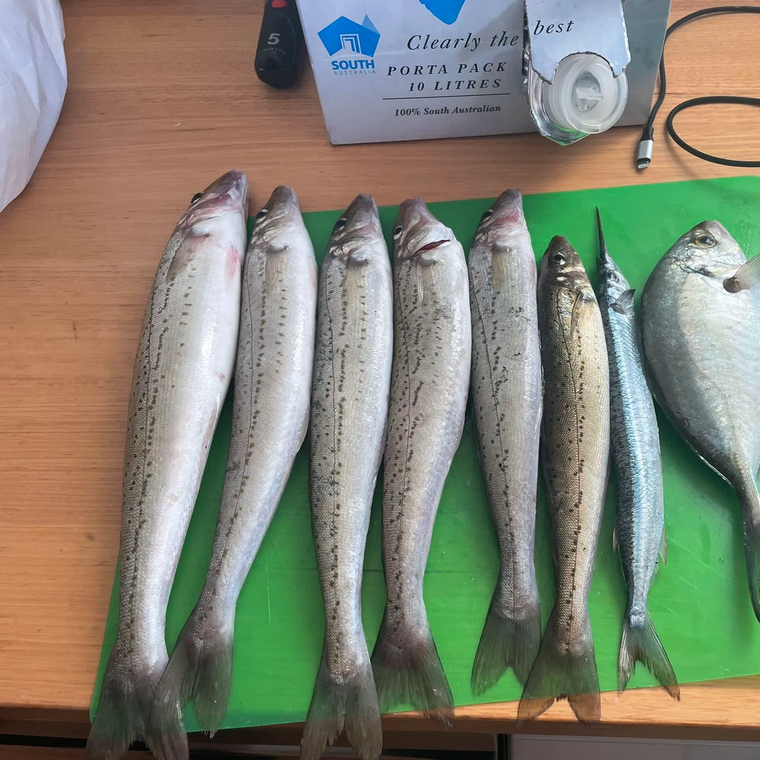 recently logged catches