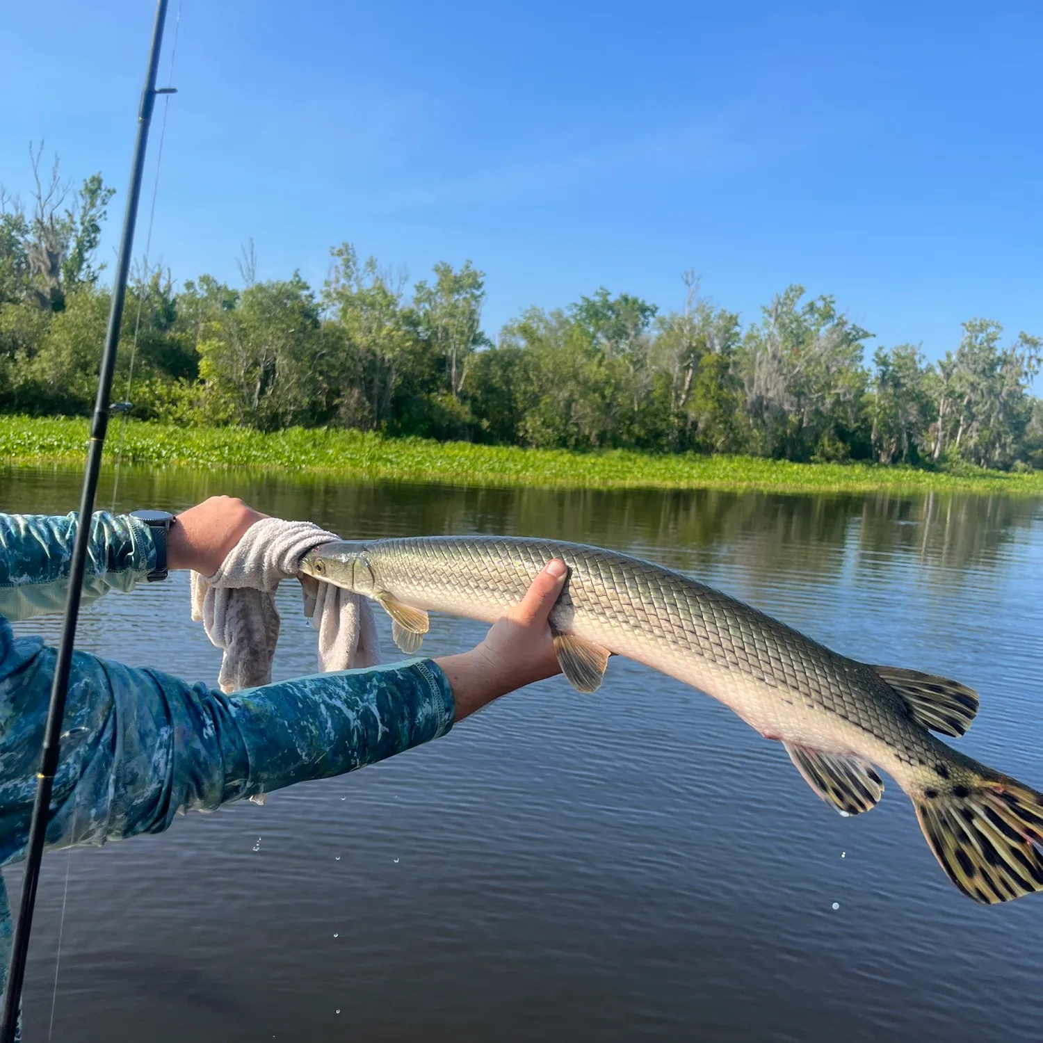 recently logged catches