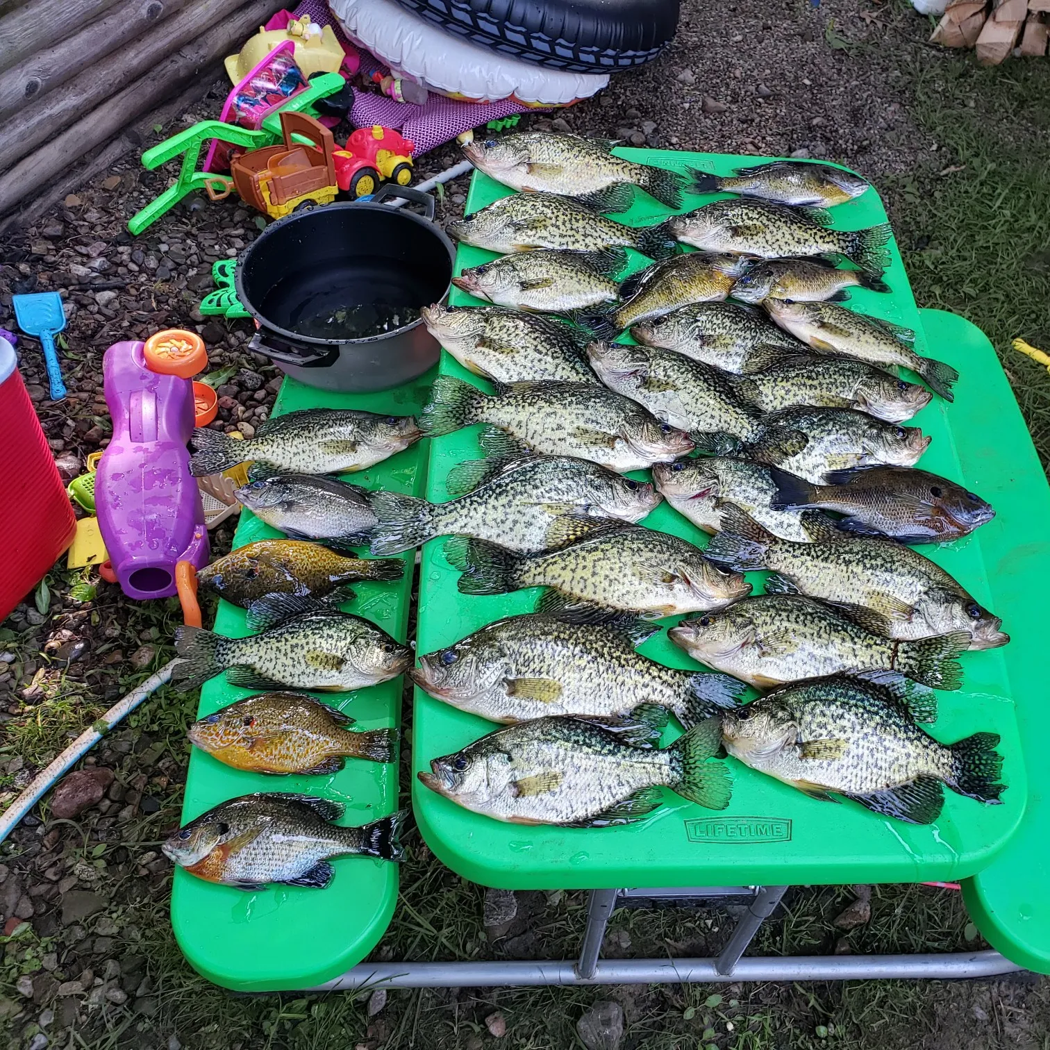 recently logged catches