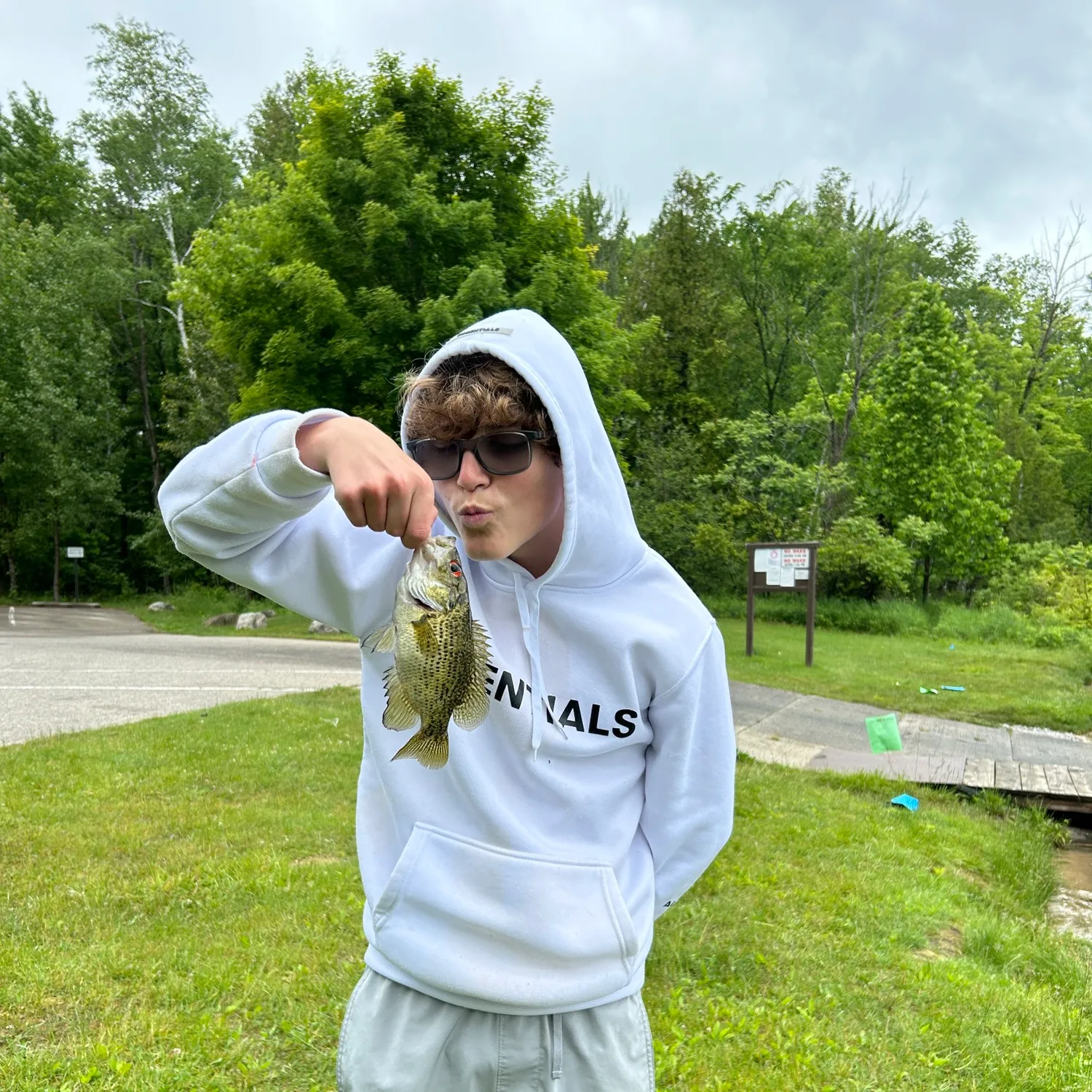 ᐅ Littlefield Lake fishing reports🎣• Mount Pleasant, MI (United States ...