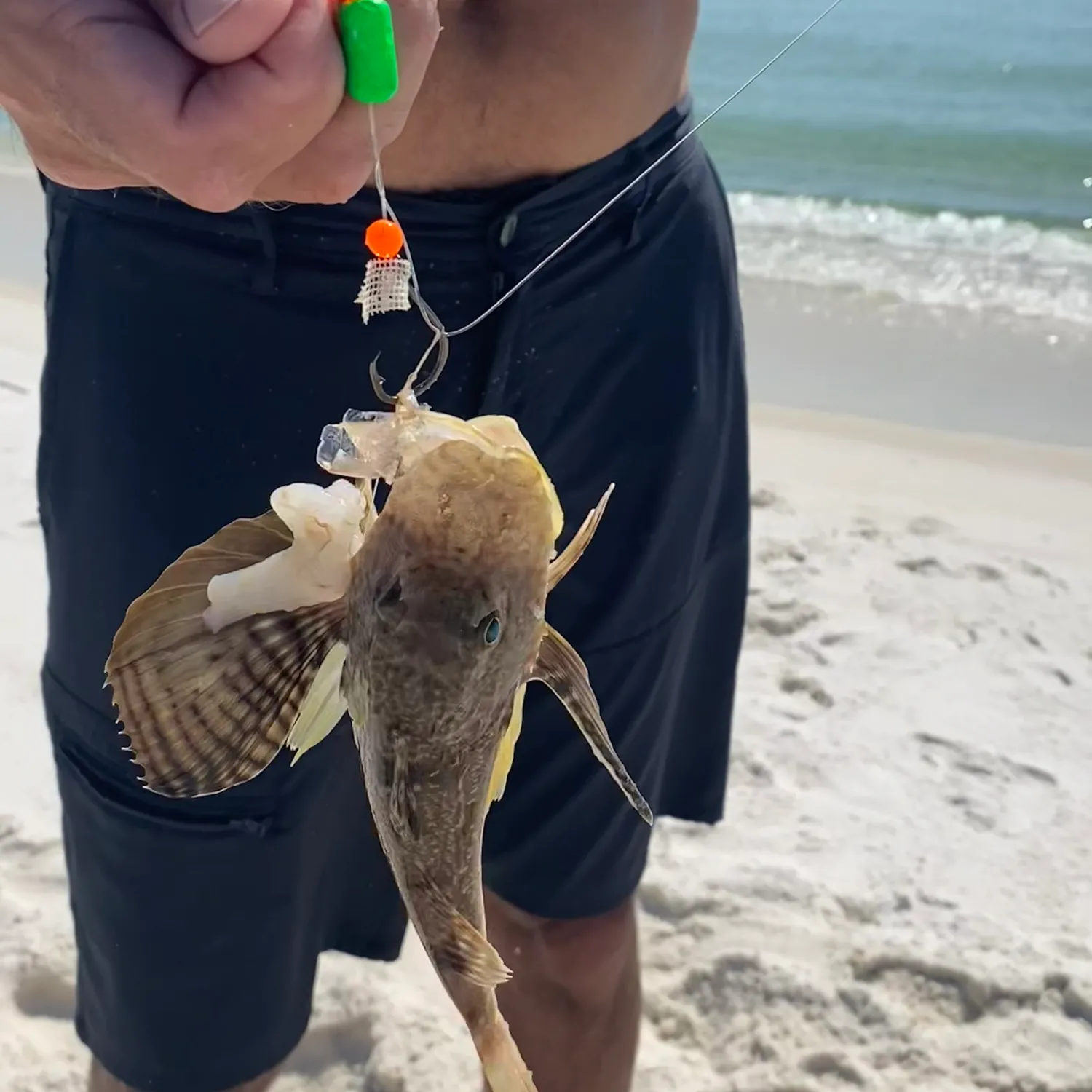 The most popular recent Southern pompano catch on Fishbrain