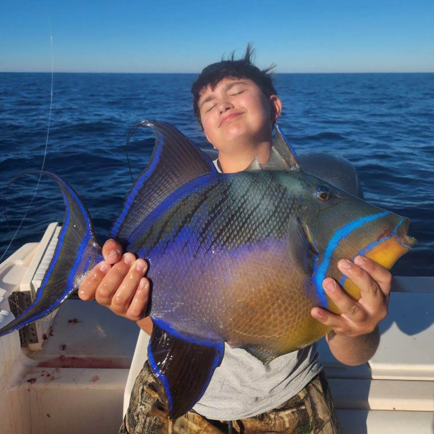 The most popular recent Queen triggerfish catch on Fishbrain