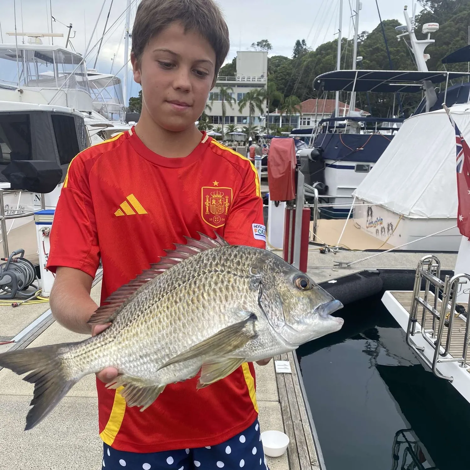 The most popular recent Southern black bream catch on Fishbrain