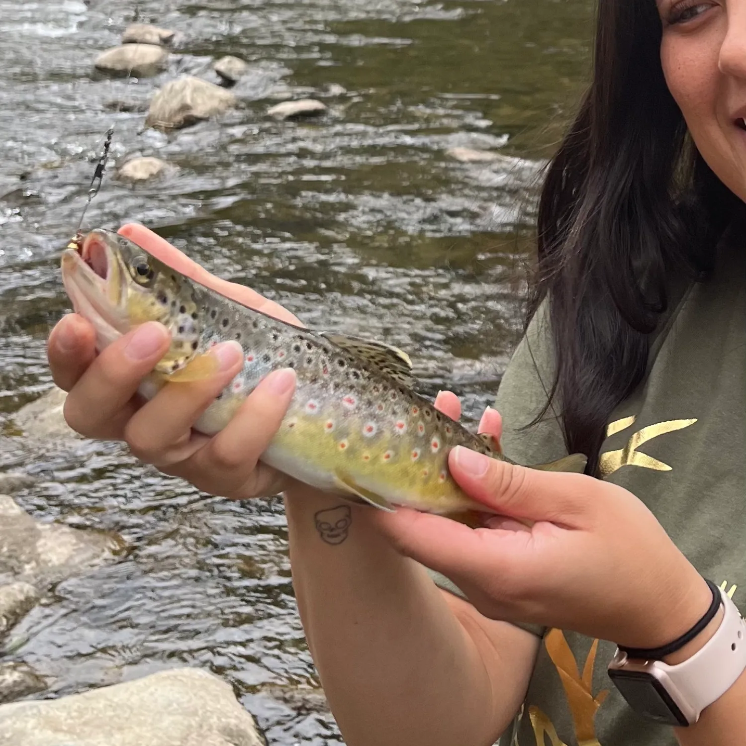 recently logged catches