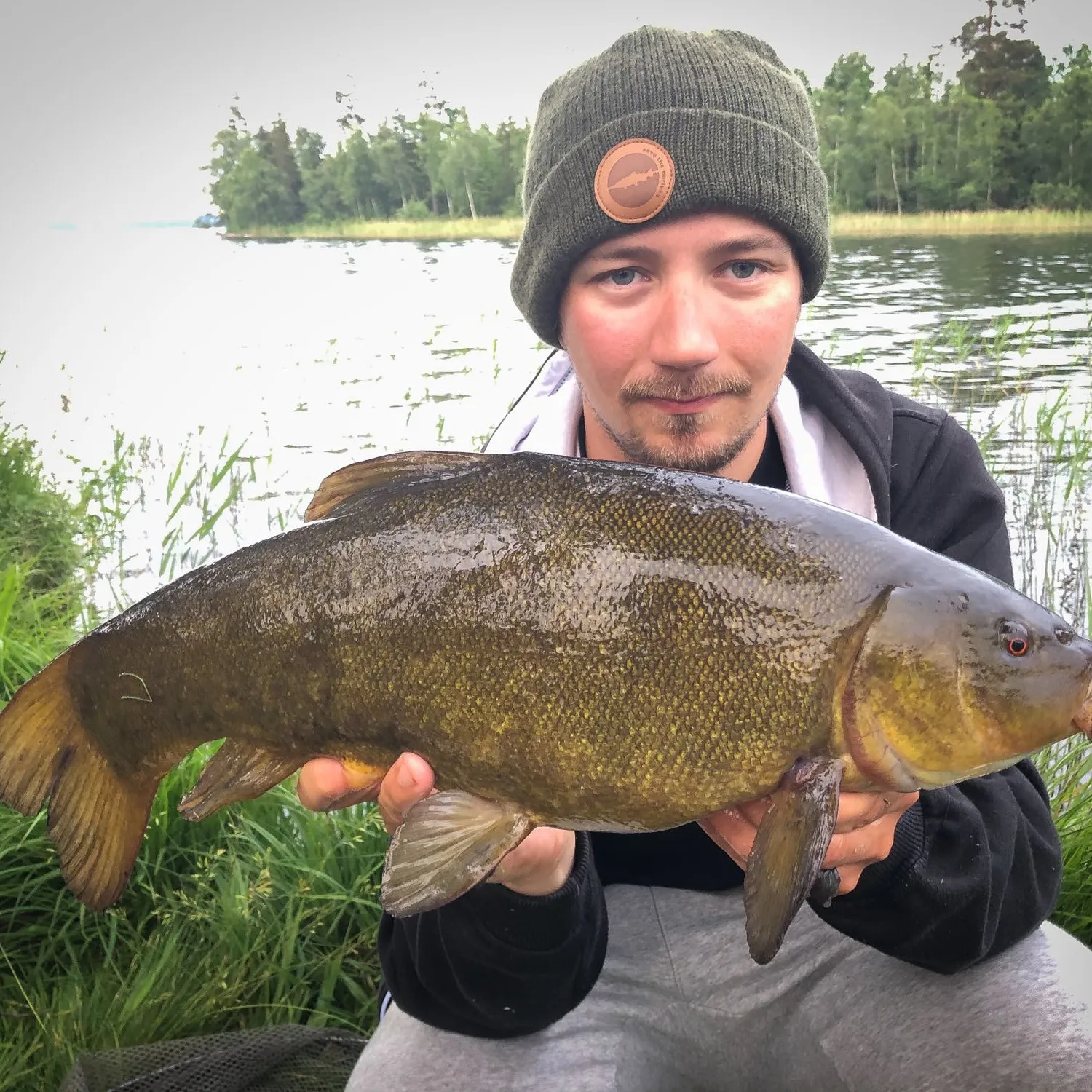 The most popular recent Tench catch on Fishbrain