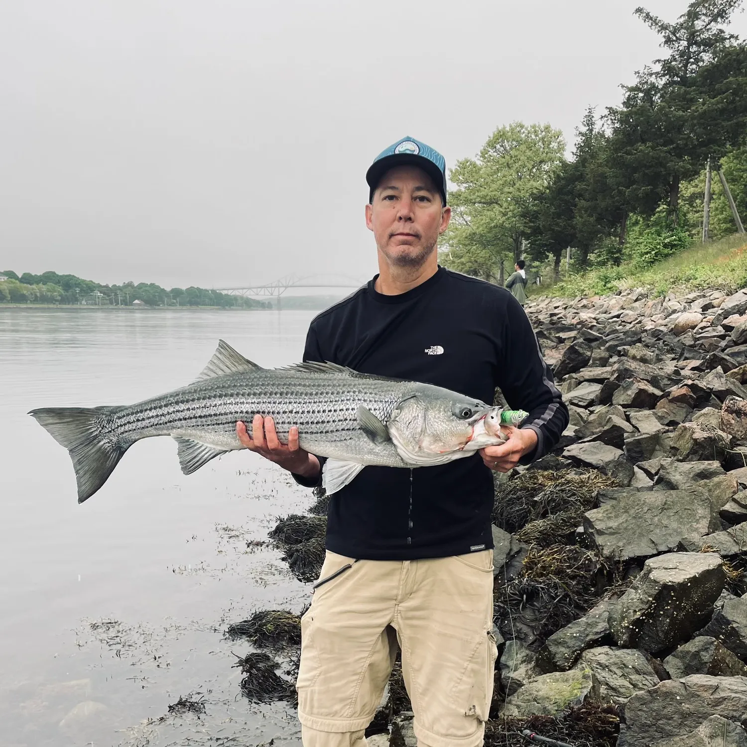 ᐅ Cape Cod Canal fishing reports🎣• Bourne, MA (United States) fishing