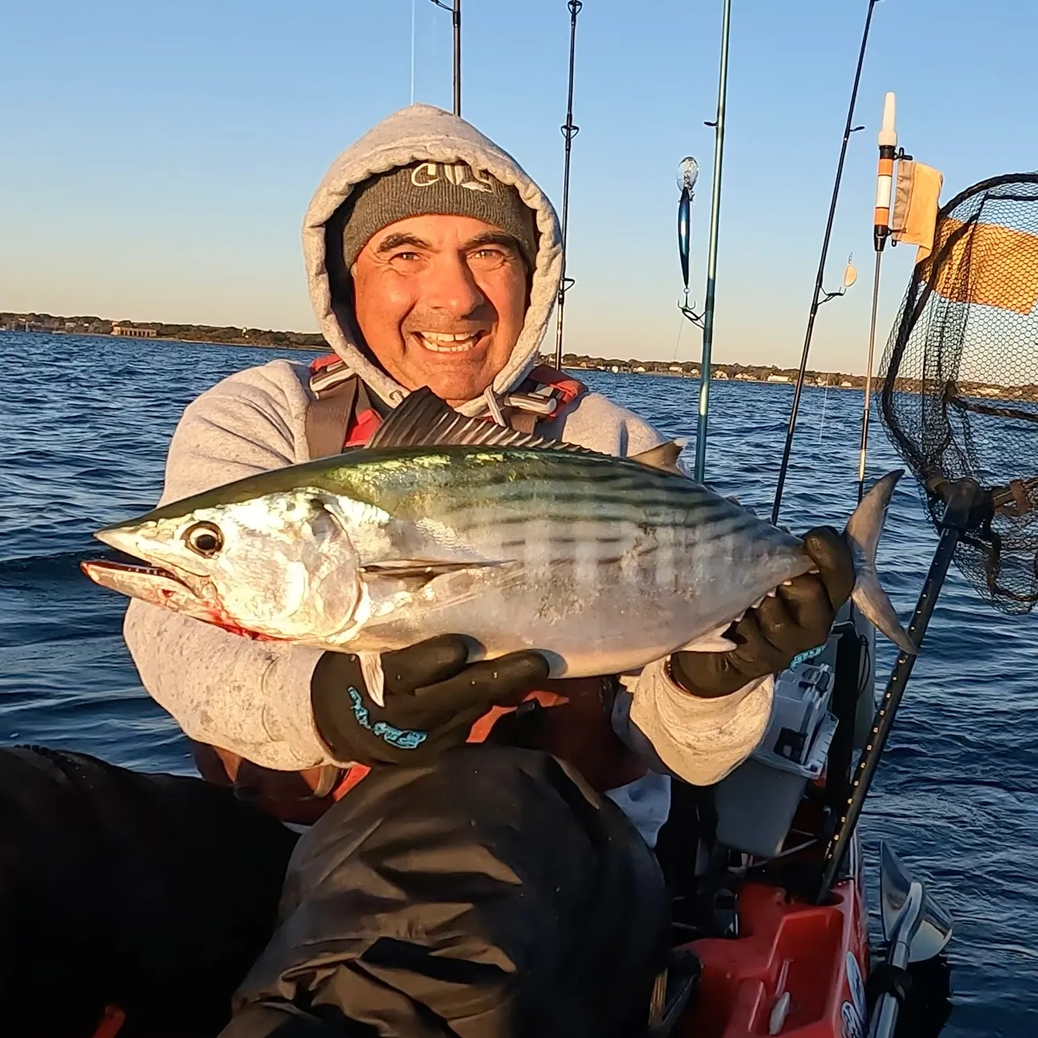 The most popular recent Atlantic bonito catch on Fishbrain