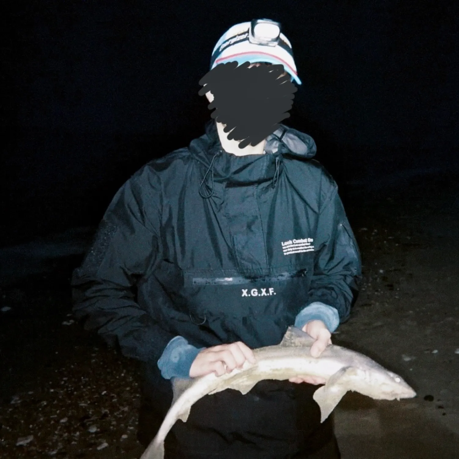 The most popular recent Starry smooth-hound catch on Fishbrain