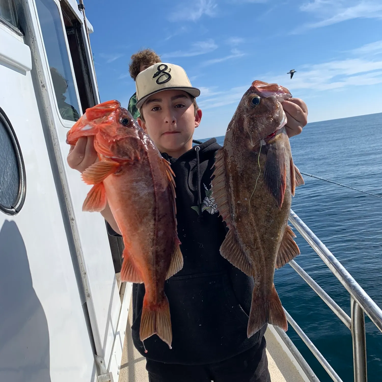 The most popular recent Widow rockfish catch on Fishbrain