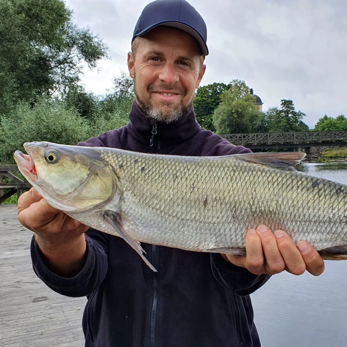 The most popular recent Asp catch on Fishbrain