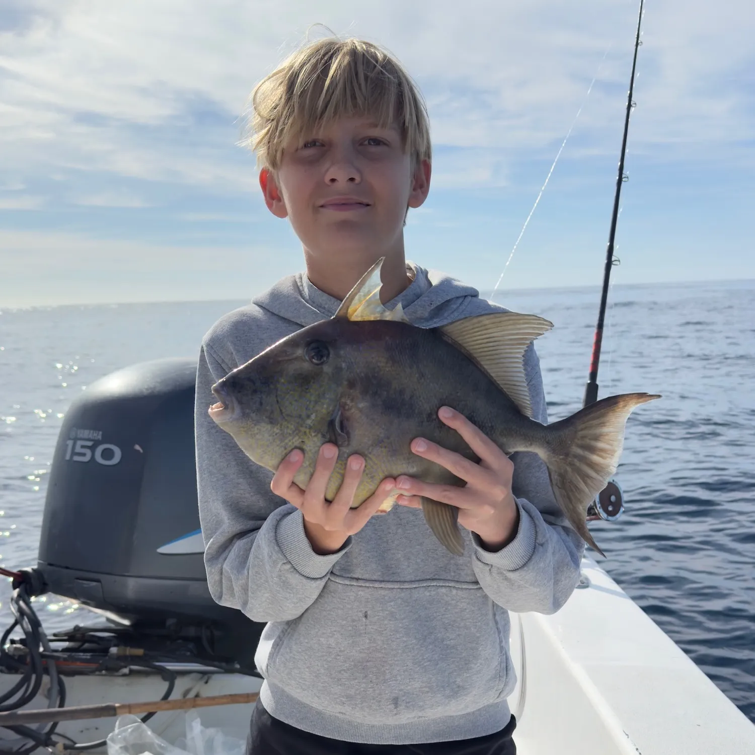 The most popular recent Grey triggerfish catch on Fishbrain