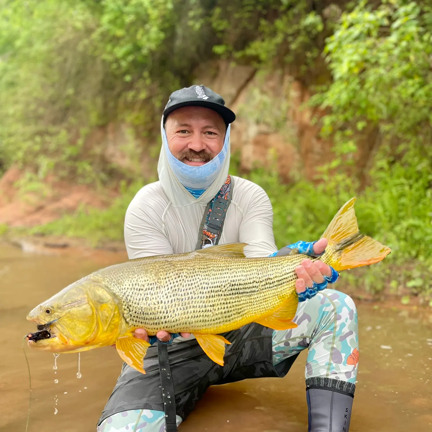 The most popular recent Golden dorado catch on Fishbrain