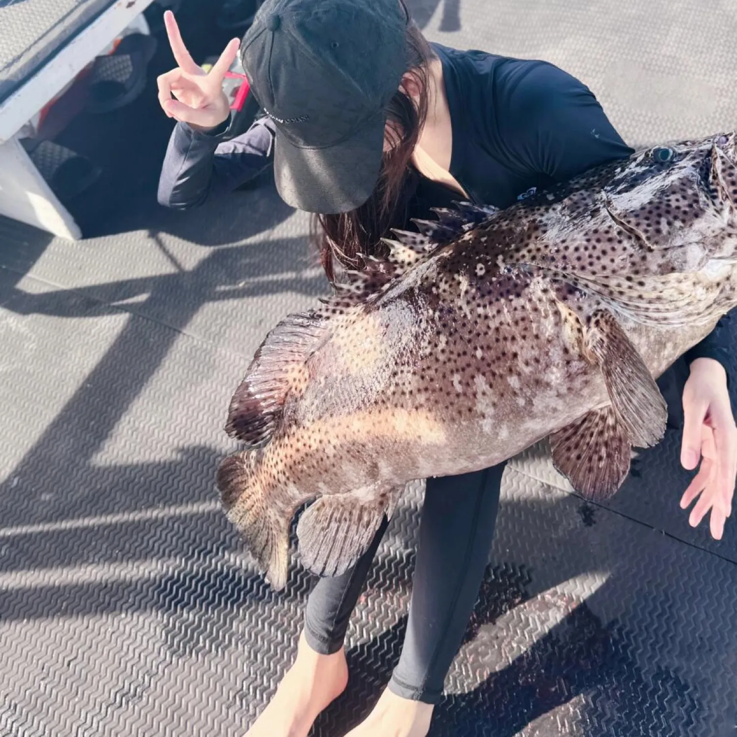 The most popular recent Greasy grouper catch on Fishbrain