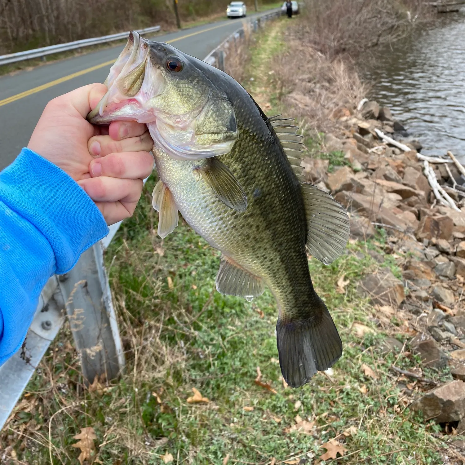 ᐅ Broad Brook Reservoir fishing reports🎣• Cheshire, CT (United States ...