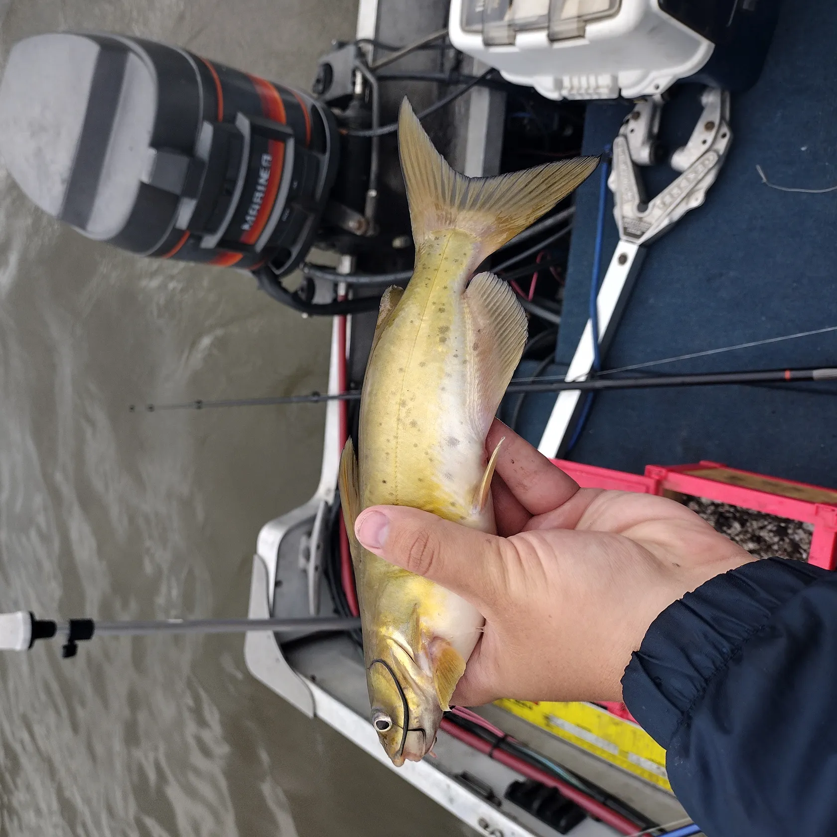 Saginaw River Fishing Report 38