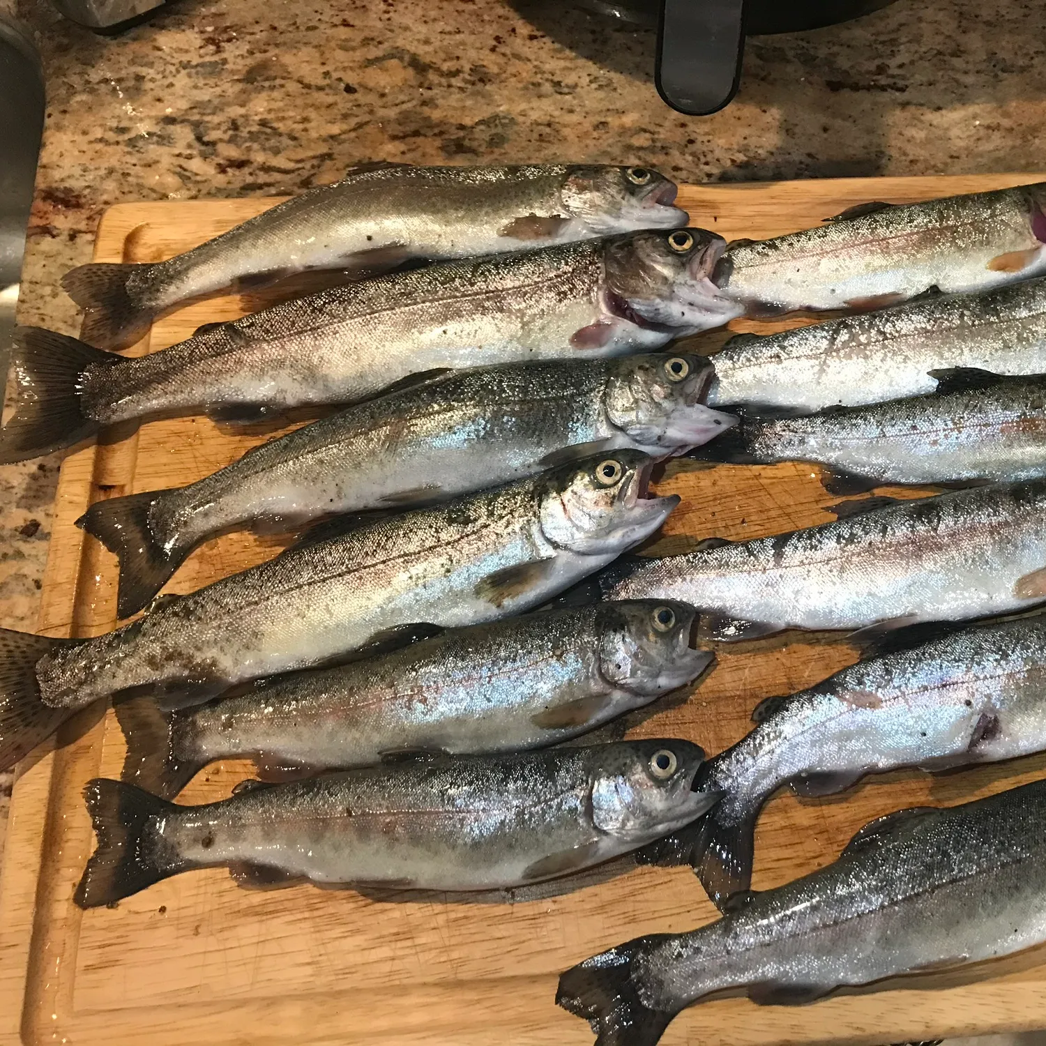 recently logged catches