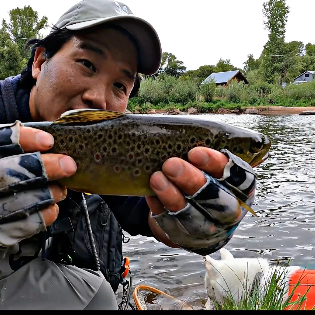 ᐅ Hot Sulphur Springs fishing reports🎣• Silverthorne, CO (United States