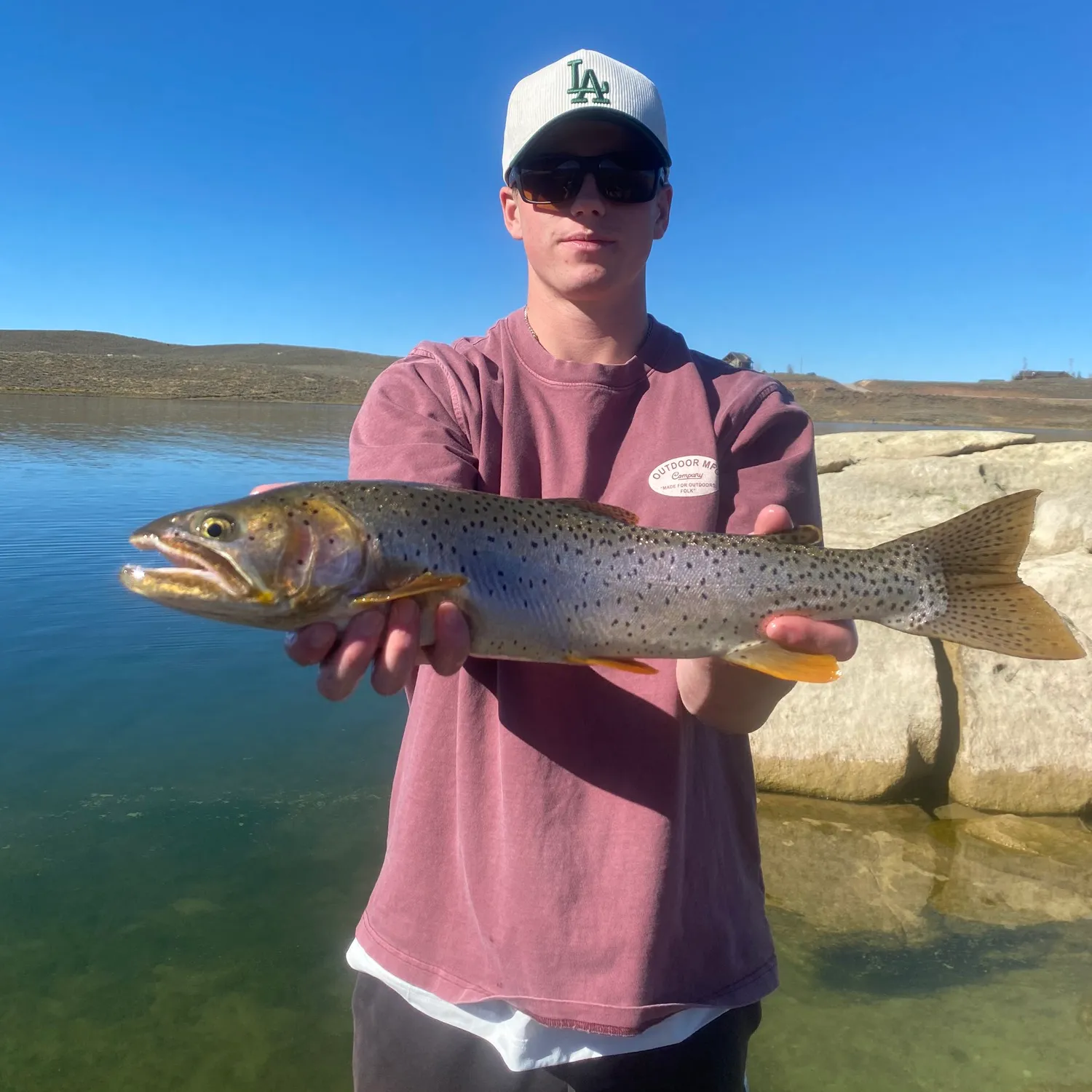 The most popular recent Bear lake cutthroat trout catch on Fishbrain