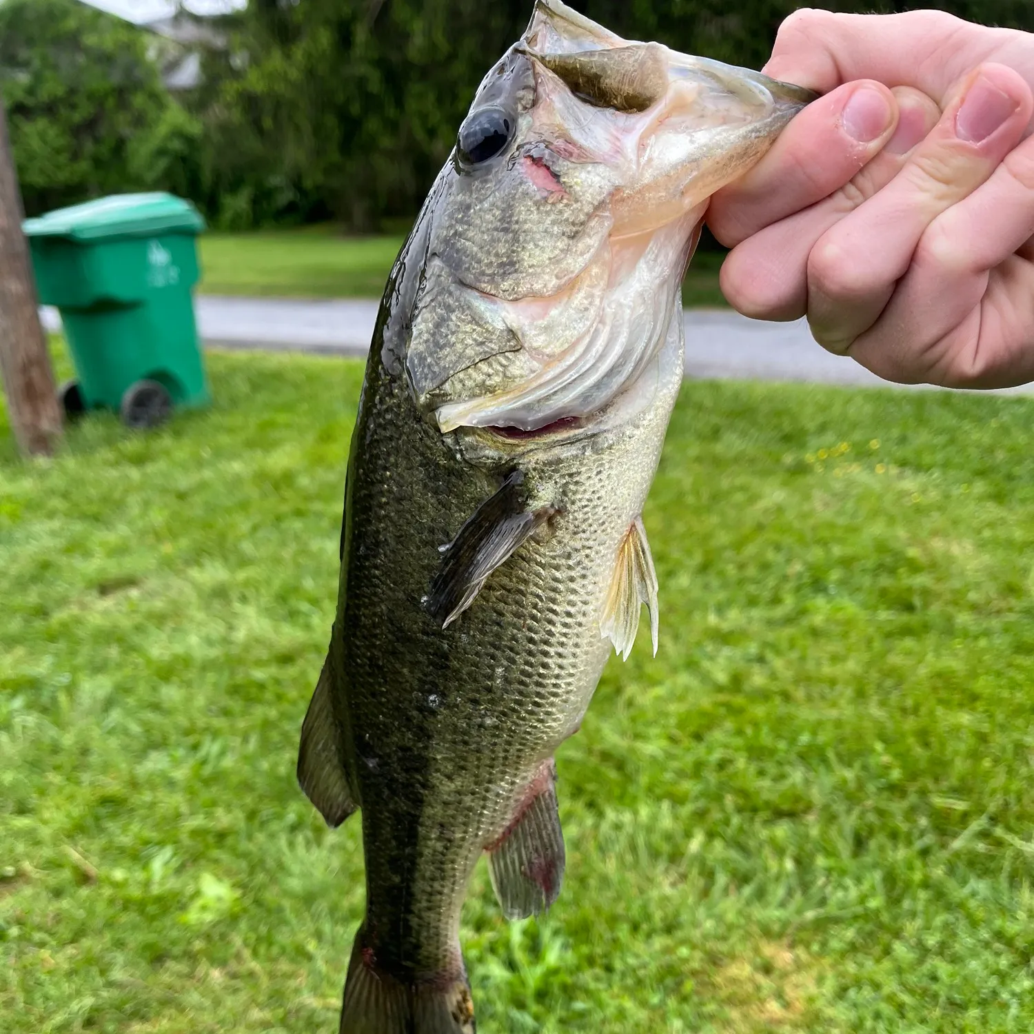 ᐅ Lake Royer fishing reports🎣• Washington, MD (United States) fishing