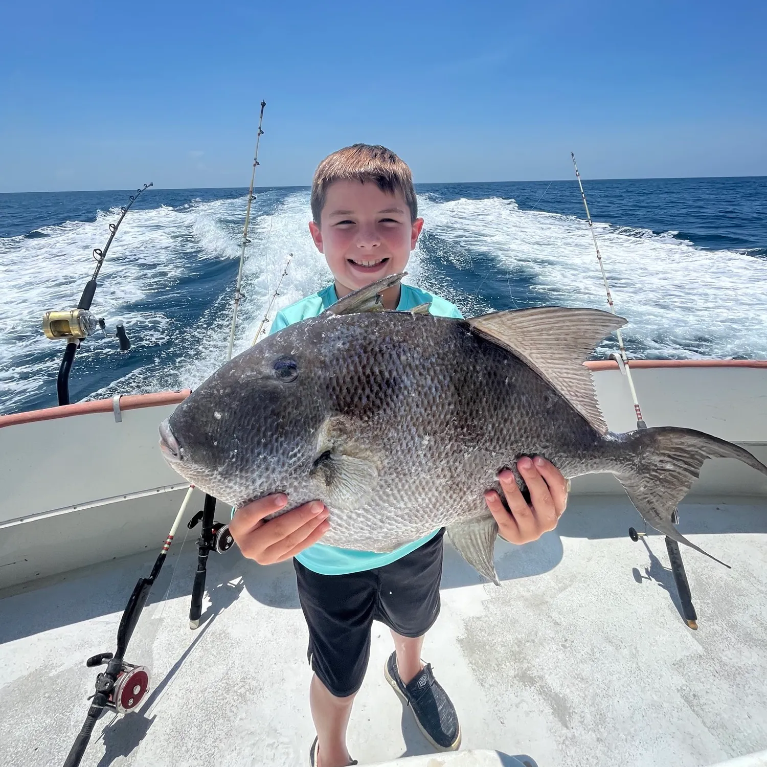 The most popular recent Ocean triggerfish catch on Fishbrain