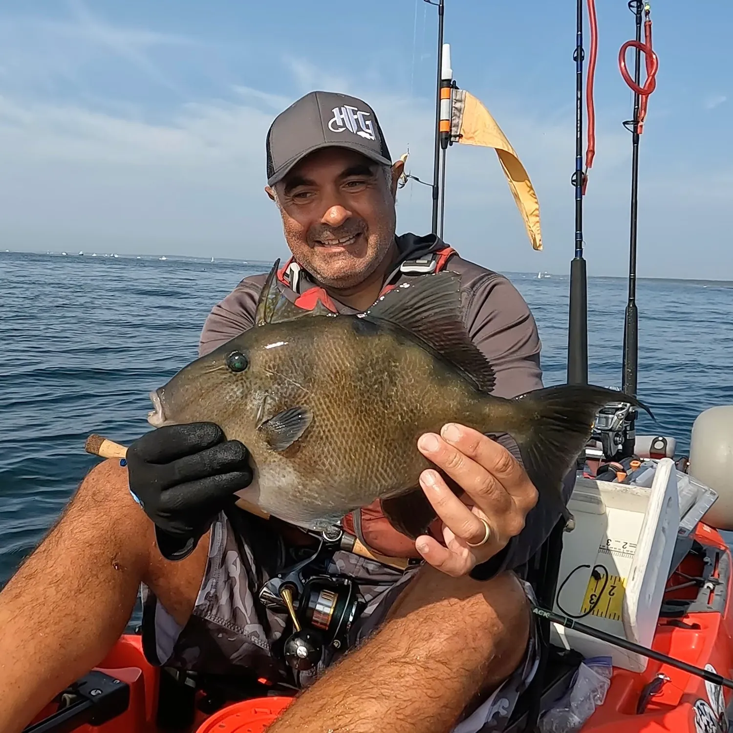 The most popular recent Grey triggerfish catch on Fishbrain