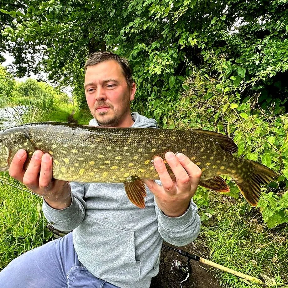 ᐅ Wyrley and essington canal fishing reports🎣• England, United Kingdom ...