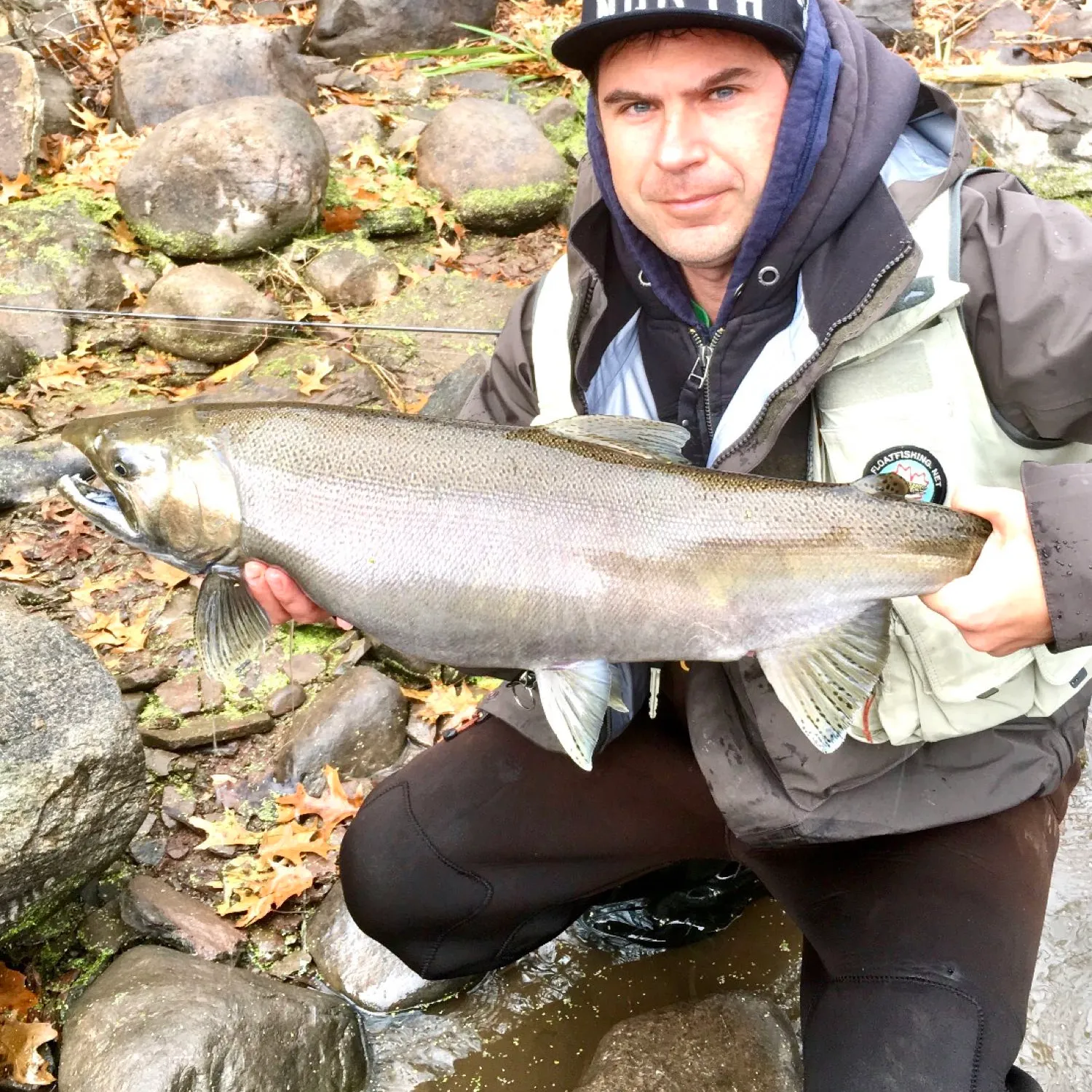 The most popular recent Coho salmon catch on Fishbrain