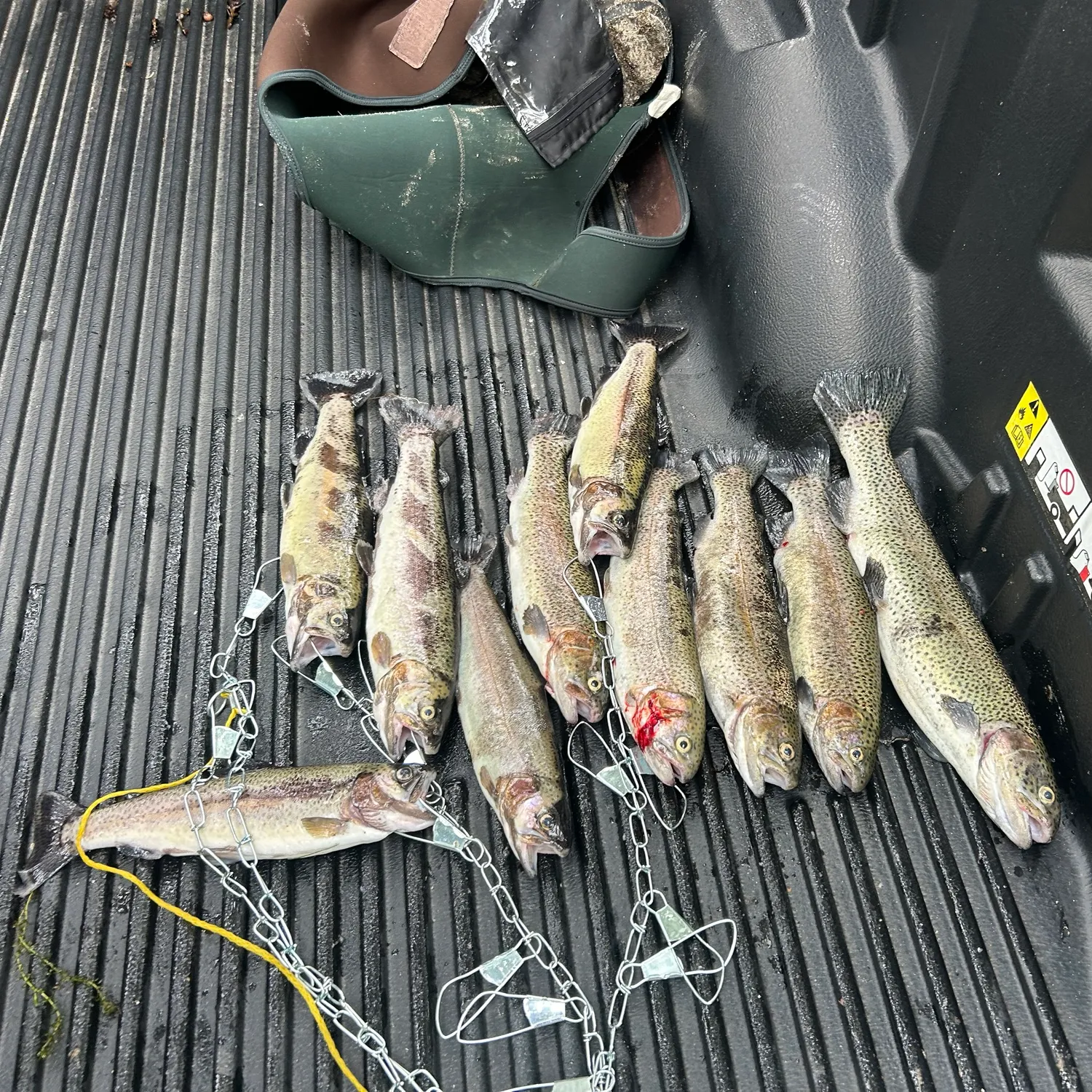 recently logged catches