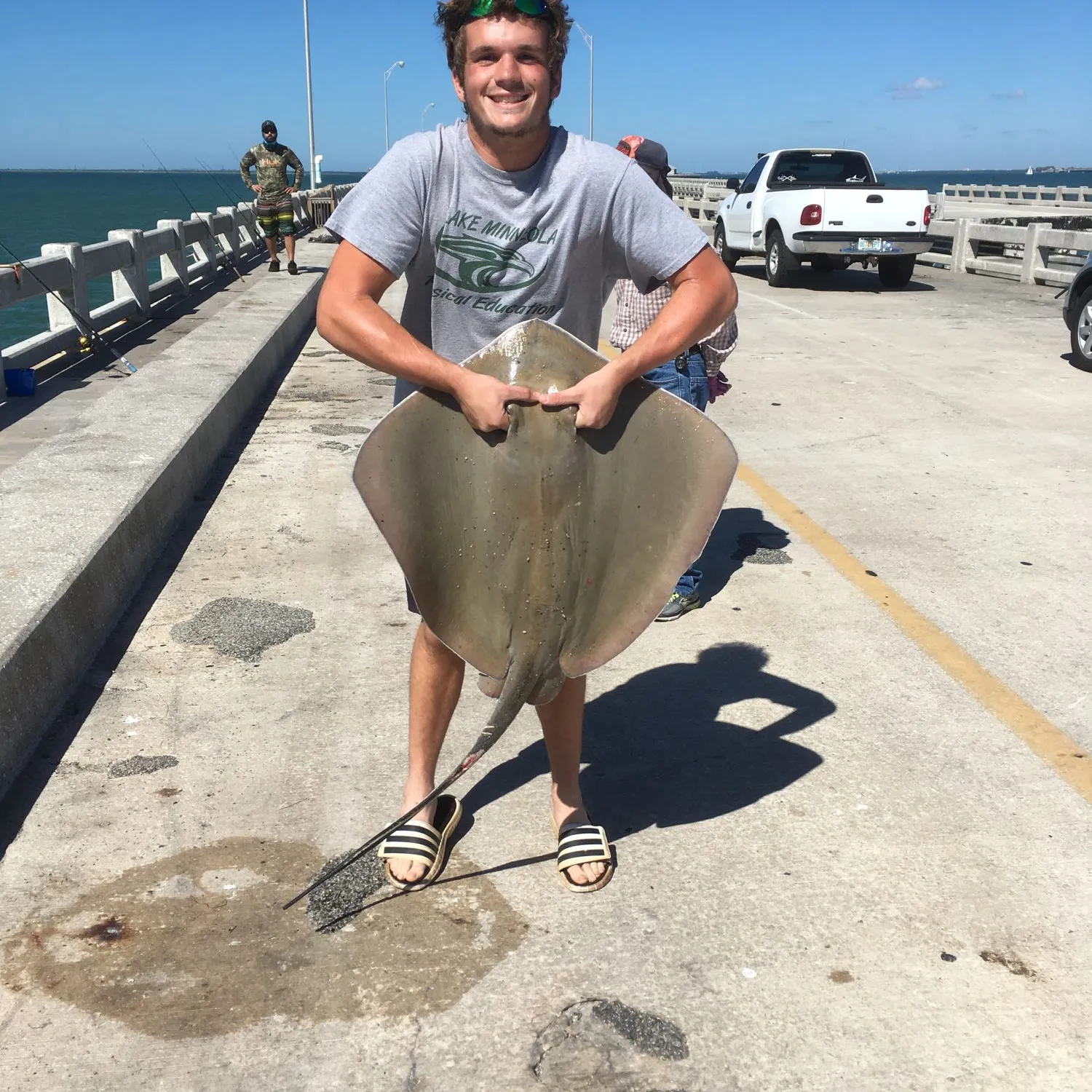 The most popular recent Atlantic stingray catch on Fishbrain