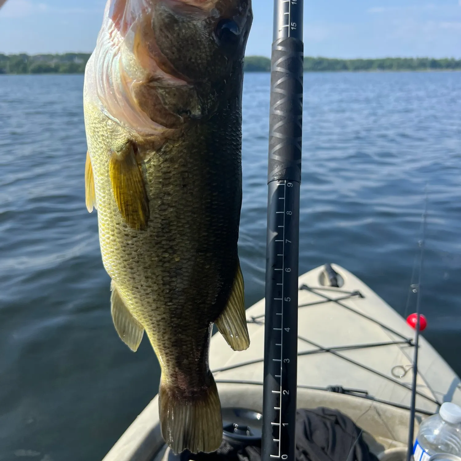 ᐅ Little Lake fishing reports🎣• Ontario, Canada fishing