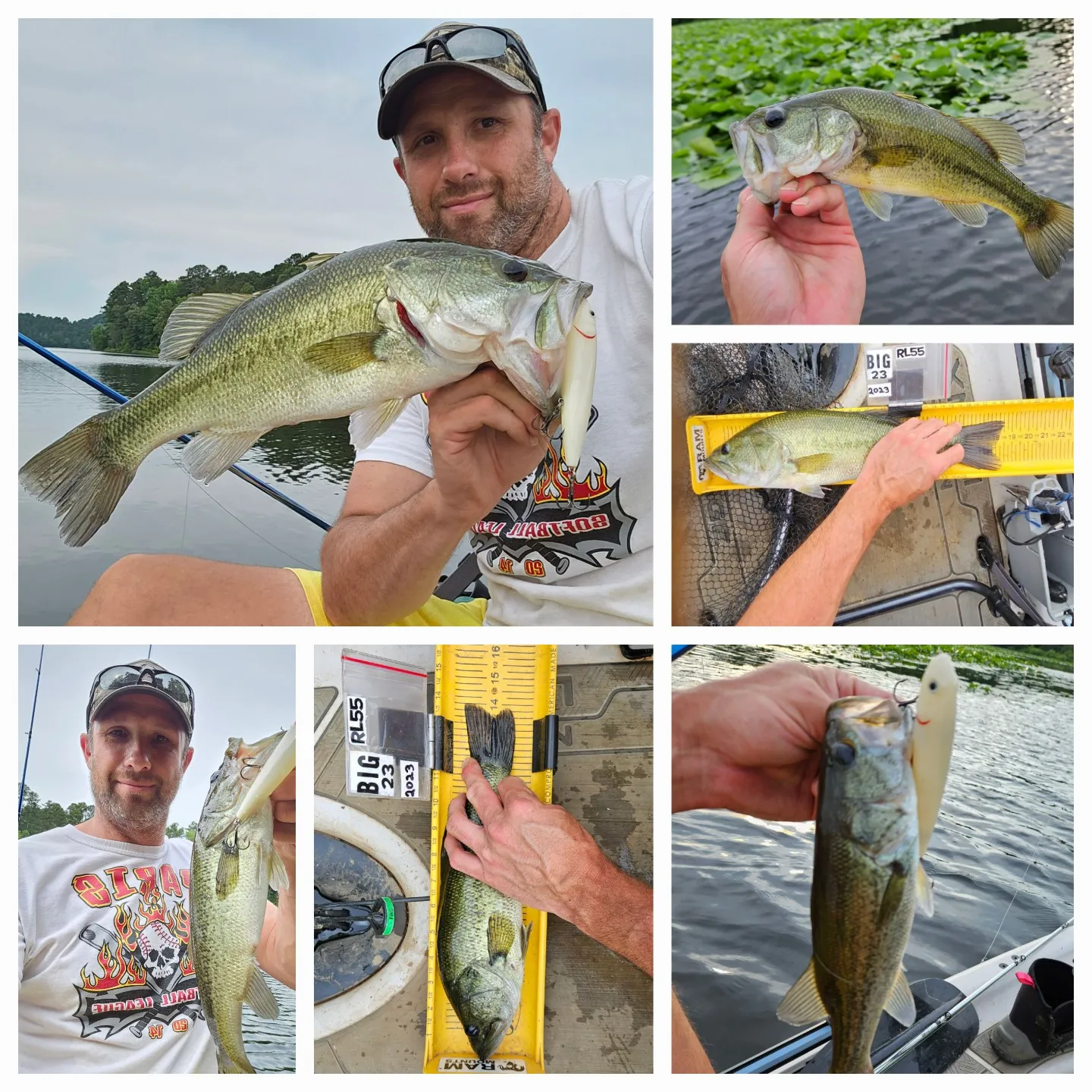 recently logged catches