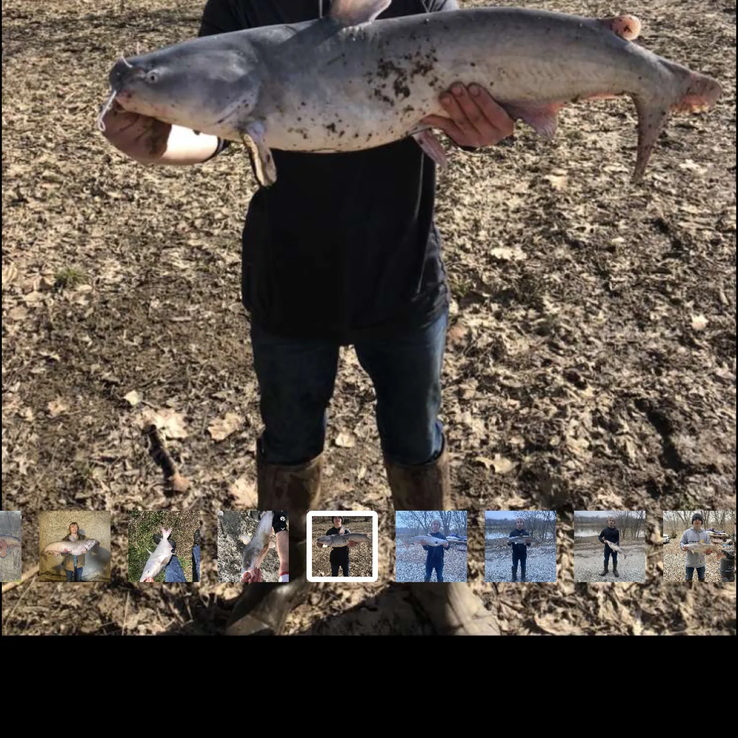 recently logged catches