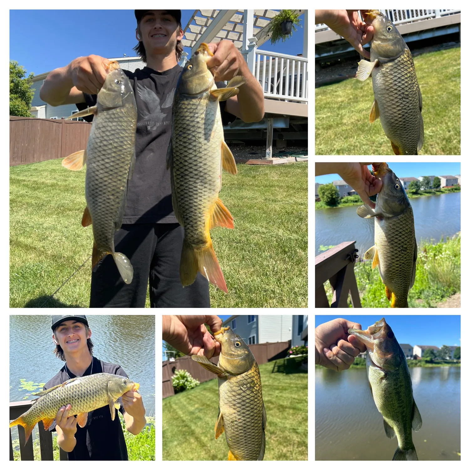 recently logged catches