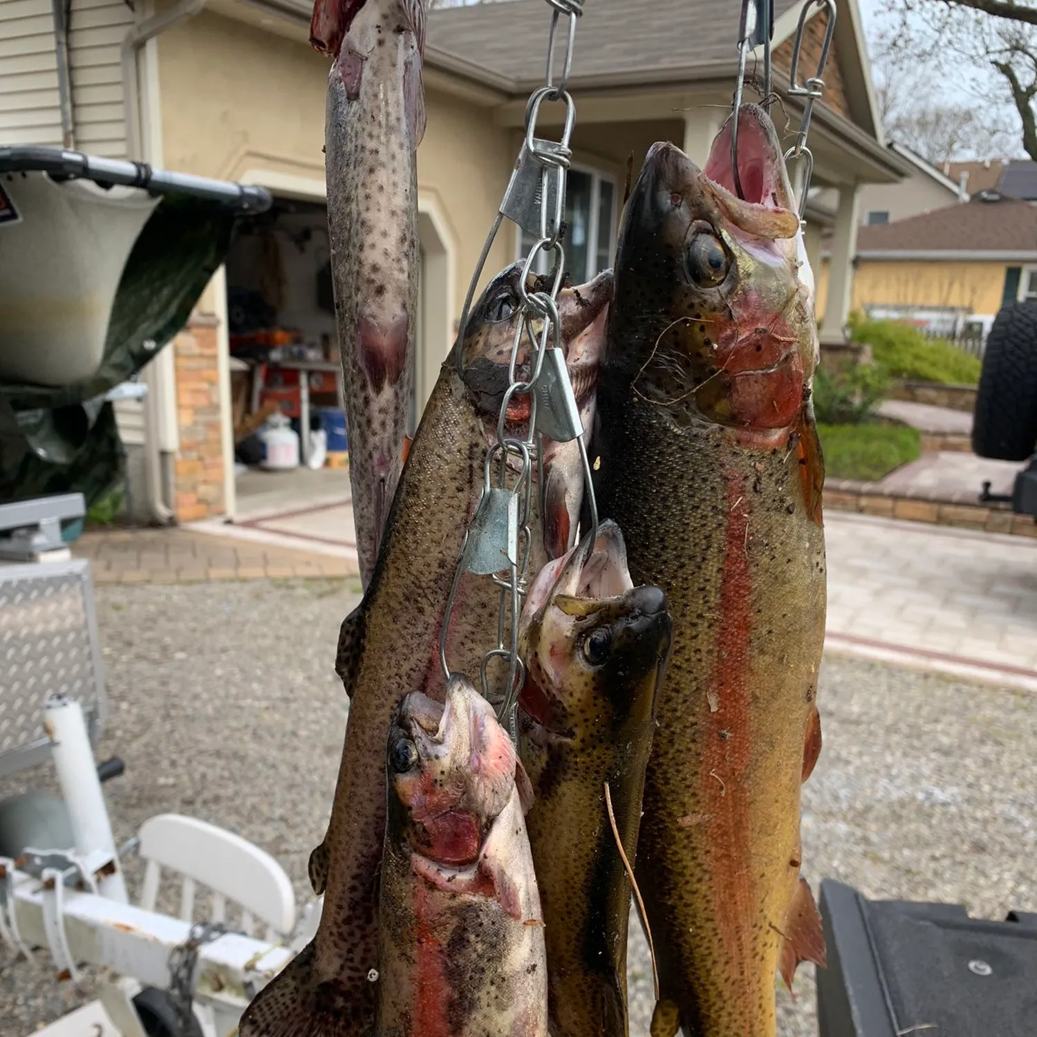 recently logged catches