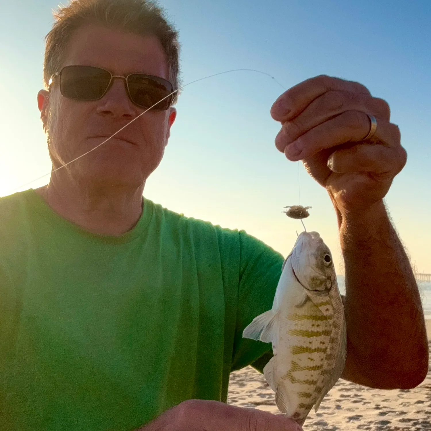 The most popular recent Barred surfperch catch on Fishbrain